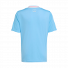 Blank 25 REP 3rd Kit Yth Jersey